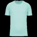 Camiseta de deporte hombre poliéster Ice Mint M