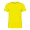 Camiseta técnica adulto de varios colores con diseño en espalda y mangas transpirable Fama M
