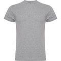 Camiseta manga corta cuello redondo Gris Vigore S