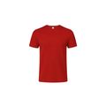 Camiseta Niño Algodón Peinado Roj 10-12