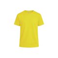 Camiseta Niño Algodón 150g/m2 Ama Xl