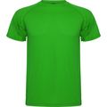 Camiseta Técnica de Colores Verde Helecho Xl