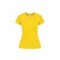 Camiseta Algodón Mujer Colores S a XXL Ama M