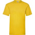Camiseta hombre algodón cuello redondo Sunflower M
