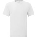 Camiseta hombre algodón peinado White Xl