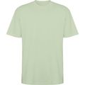 Camiseta oversize de manga corta Verde Mist S