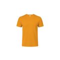 Camiseta Niño Algodón Peinado Dor 6-8