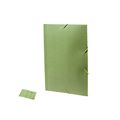 Carpeta para folios de caña de trigo