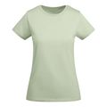 Camiseta entallada mujer algodón orgánico Verde Mist 2Xl