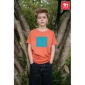 Camiseta Infantil Algodón 100%