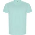 Camiseta Algodón Orgánico Manga Corta Verde Menta 3Xl