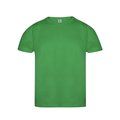 Camiseta Adulto Color Algodón Orgánico 150g/m2 Verde M