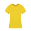Camiseta Algodón Mujer Colores S a XXL Ama L