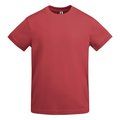 Camiseta Gruesa Algodón Hombre Rojo Crisantemo S