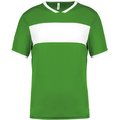 Camiseta infantil de deporte Green / White 12/14 ans