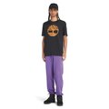 Camiseta con Logo de árbol