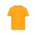 Camiseta Niño Algodón Peinado Dor 10-12
