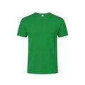 Camiseta Niño Algodón Peinado Ver 13-14