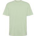 Camiseta oversize de manga corta Verde Mist L