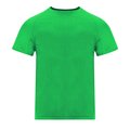 Camiseta Técnica Adulto 135gr Ver L