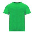 Camiseta Técnica Adulto 135gr Ver XXL