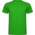 Camiseta Técnica de Colores Verde Helecho 16