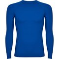 Camiseta Térmica Transpirable y Ligera ROYAL M-L