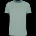 Camiseta unisex cuello redondo Sage XXS