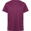 Camiseta Transpirable Manga Corta Arándano 16