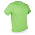 Camiseta 160g Algodón Tallas Variadas