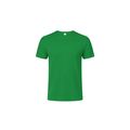Camiseta Niño Algodón Peinado Ver 10-12