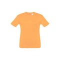 Camiseta Infantil Algodón 100%