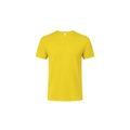Camiseta Niño Algodón Peinado Ama 4-5