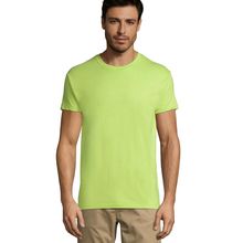 Camiseta Unisex Apple Green 3Xl
