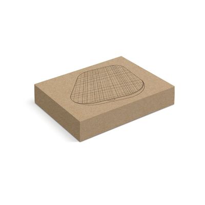 Cargador inalámbrico 10W en PET