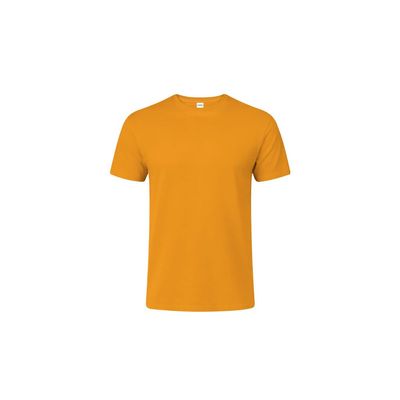 Camiseta Niño Algodón Peinado Dor 6-8