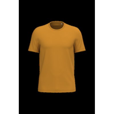 Camiseta algodón orgánico ajustado Curcuma Xl