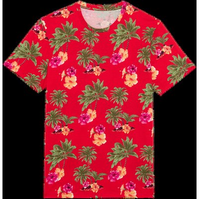 Camiseta diseño tropical hombre Red Hawaiian S