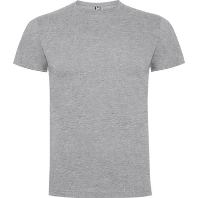 Camiseta Manga Corta GRIS VIGORE L