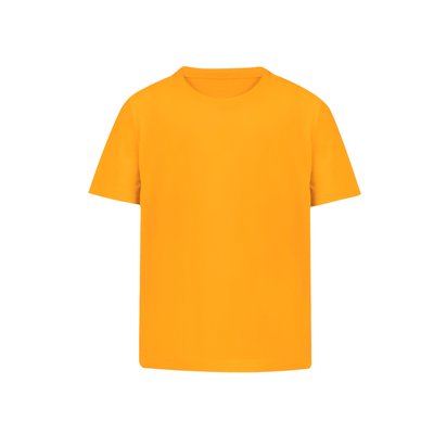 Camiseta Niño Algodón Peinado Dor 10-12