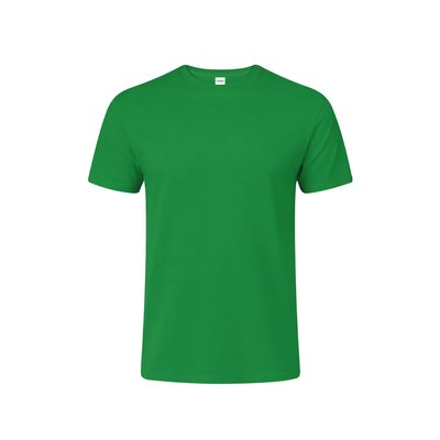 Camiseta Niño Algodón Peinado Ver 13-14