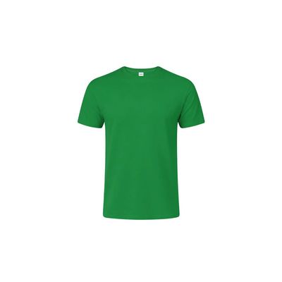 Camiseta Niño Algodón Peinado Ver 10-12