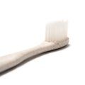 Cepillo de dientes en fibra de trigo y nylon