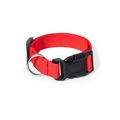 Collar Ajustable Mascota Cierre Clic