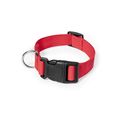Collar Ajustable Mascota Cierre Clic