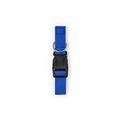 Collar Ajustable Mascota Cierre Clic Azul