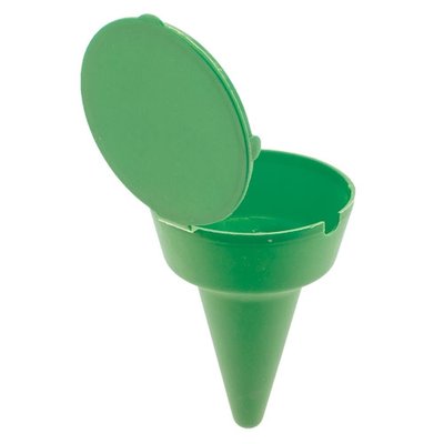 Colillero de Playa
