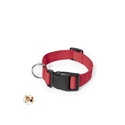 Collar Ajustable Mascota Cierre Clic
