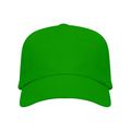 Gorra ajustable de algodón en 2 tallas Verde Helecho Kids