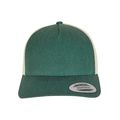 Gorra retro bicolor Green / Beige